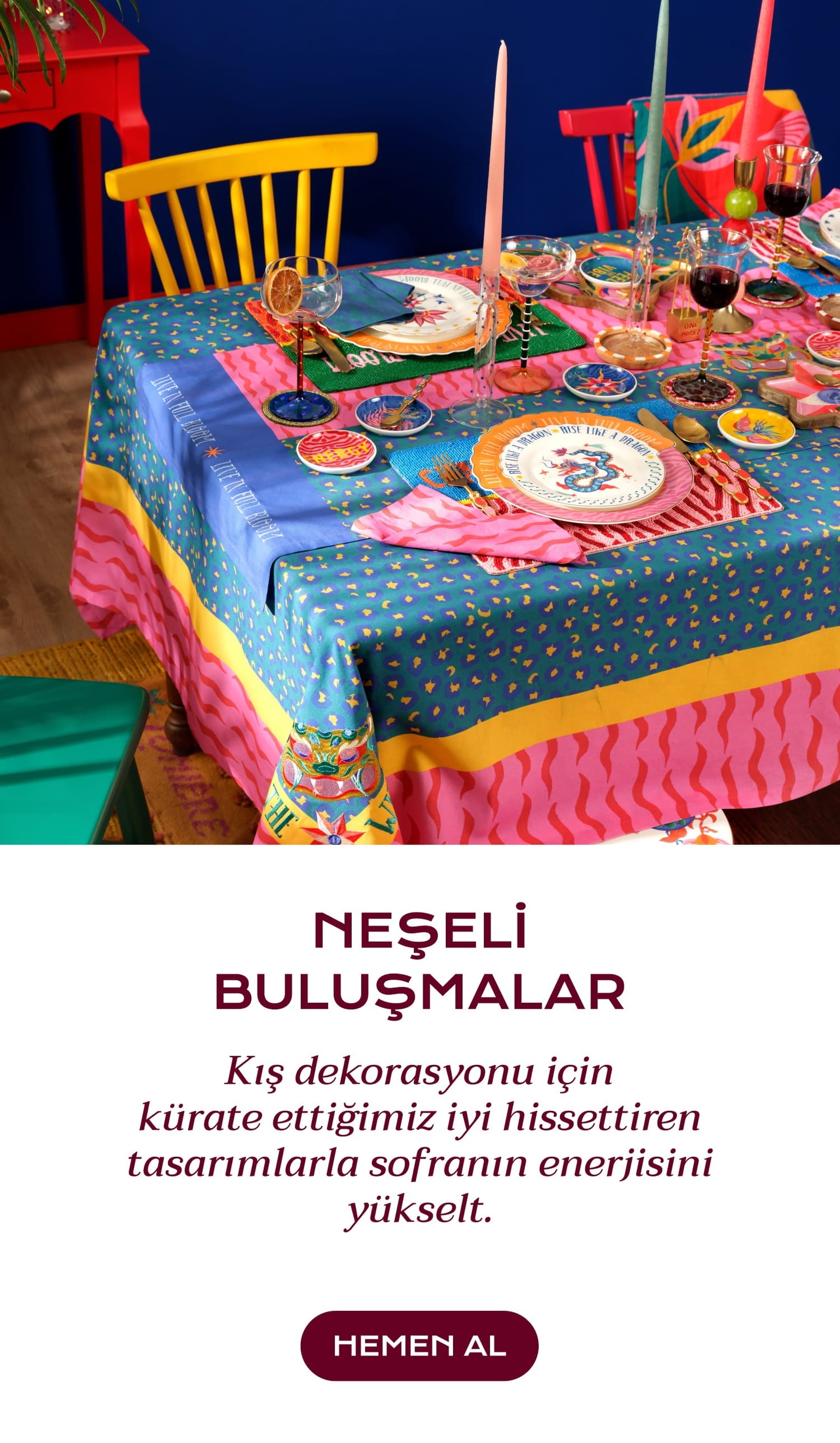 Neşeli Buluşmalar!