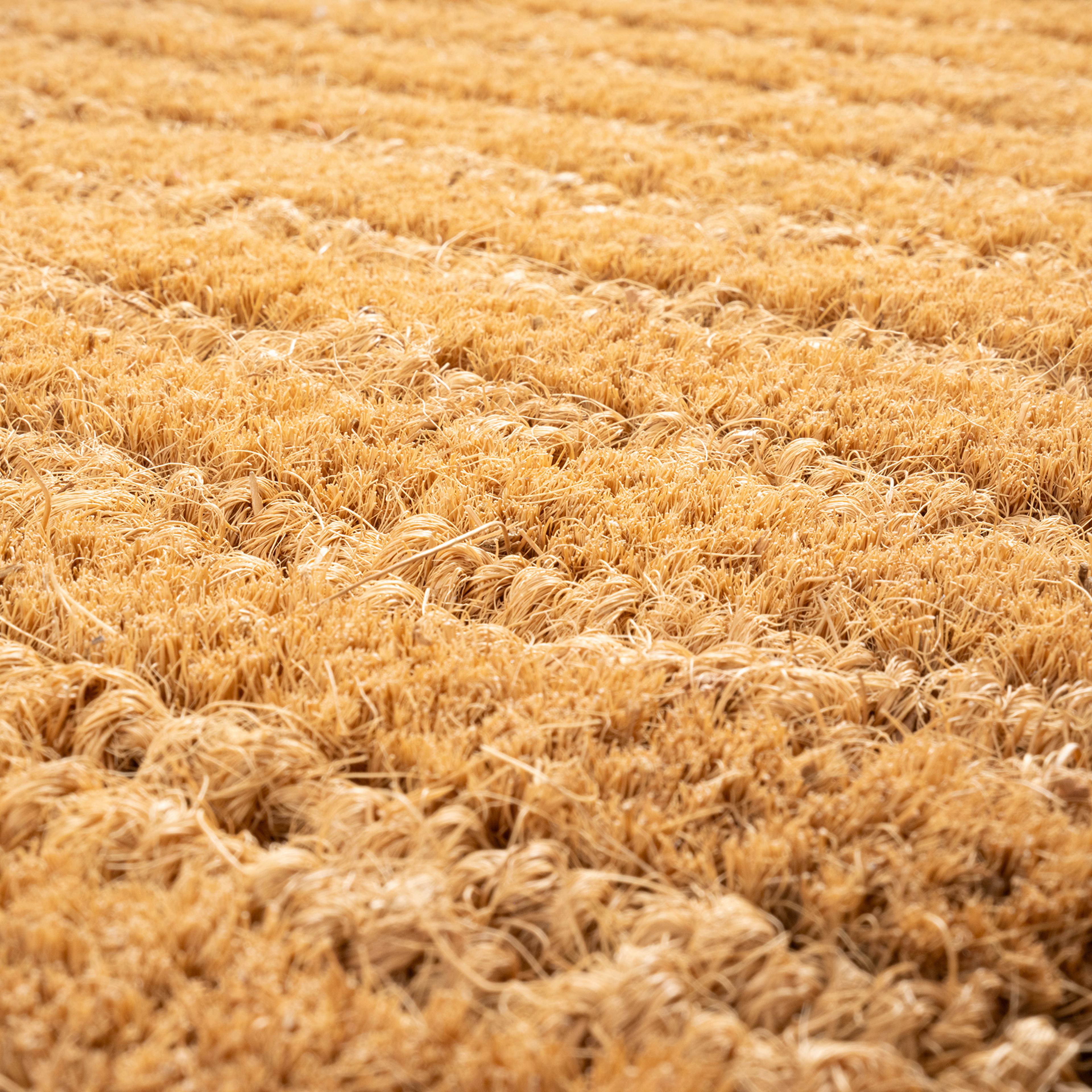 Kerala Çizgi %100 Hindistan Cevizi Lifi Kapı Önü Paspası 45x75 Cm Bej