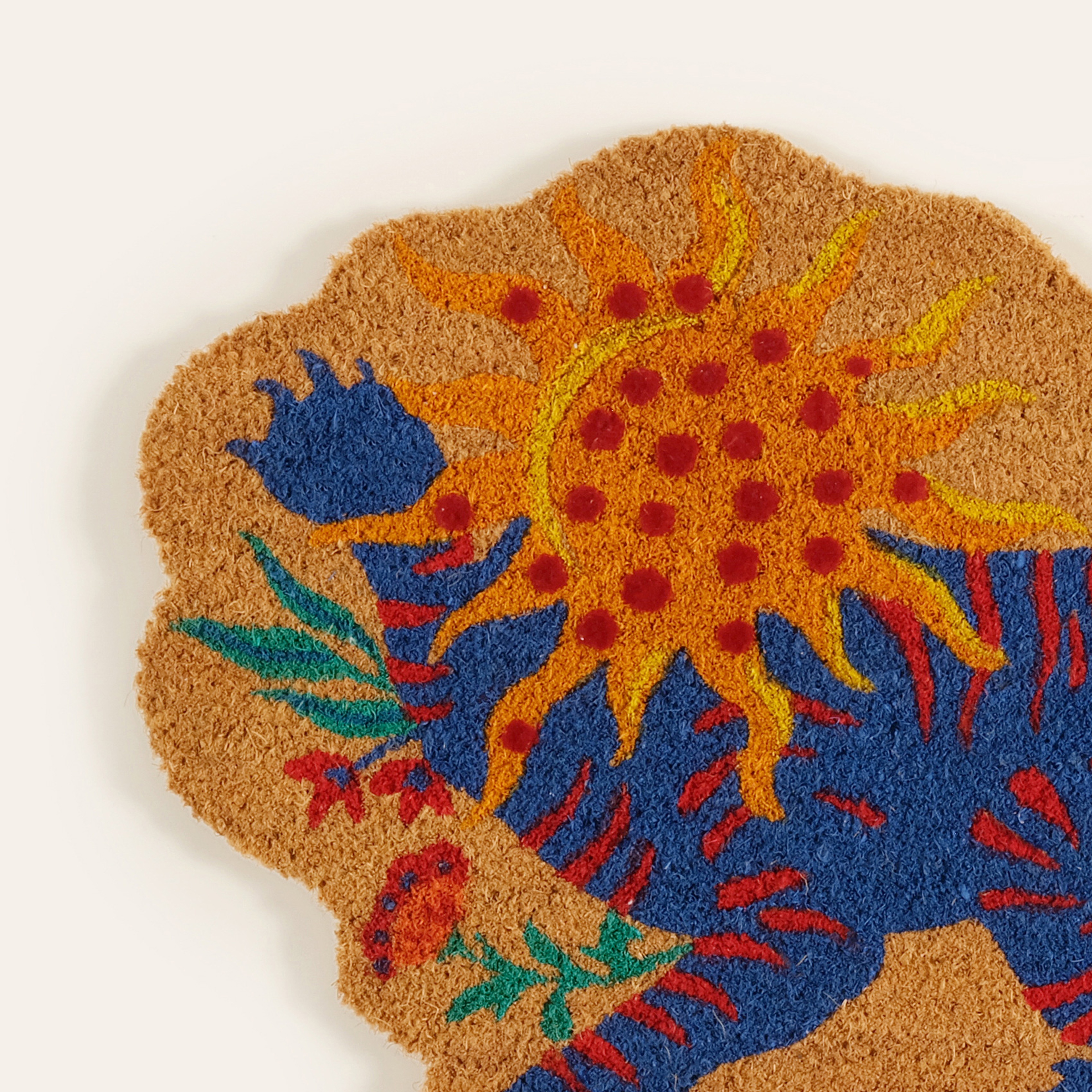 Kerala Coır Kapı Önü Paspası 45x66 Cm Mavi