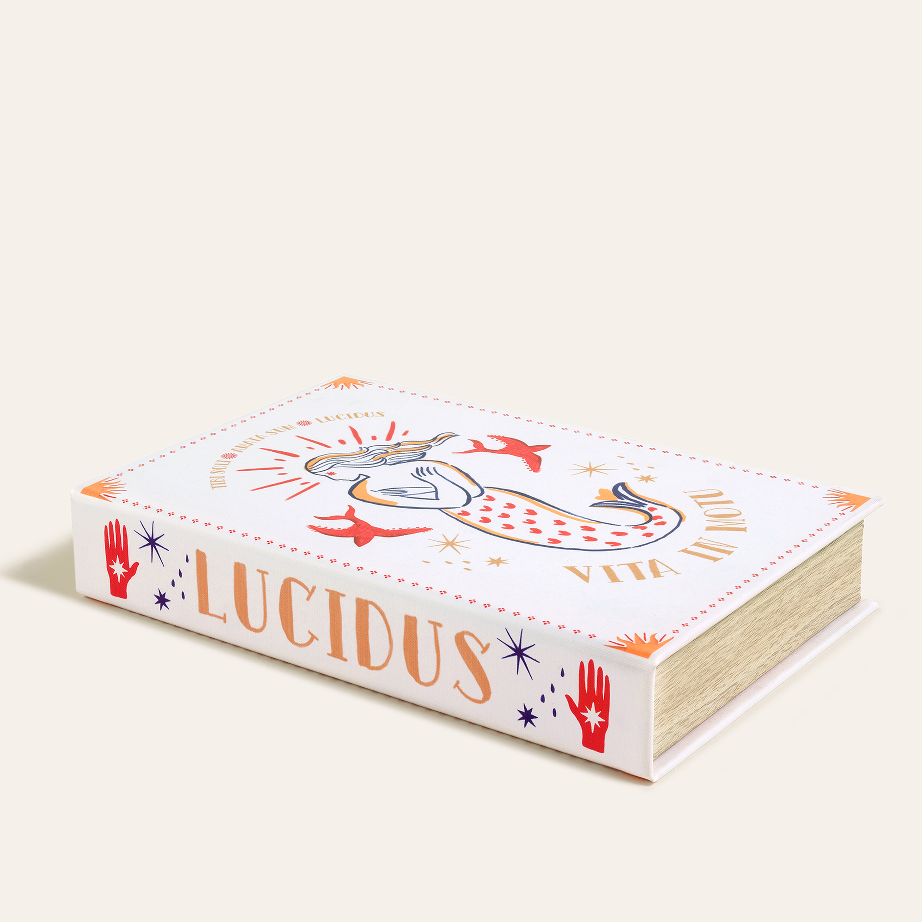 Olbıa Kanvas - Polistren - Kadife Dekoratif Kutu 19x30 Cm Renkli