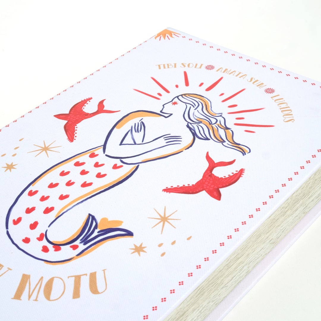 Olbıa Kanvas - Polistren - Kadife Dekoratif Kutu 19x30 Cm Renkli