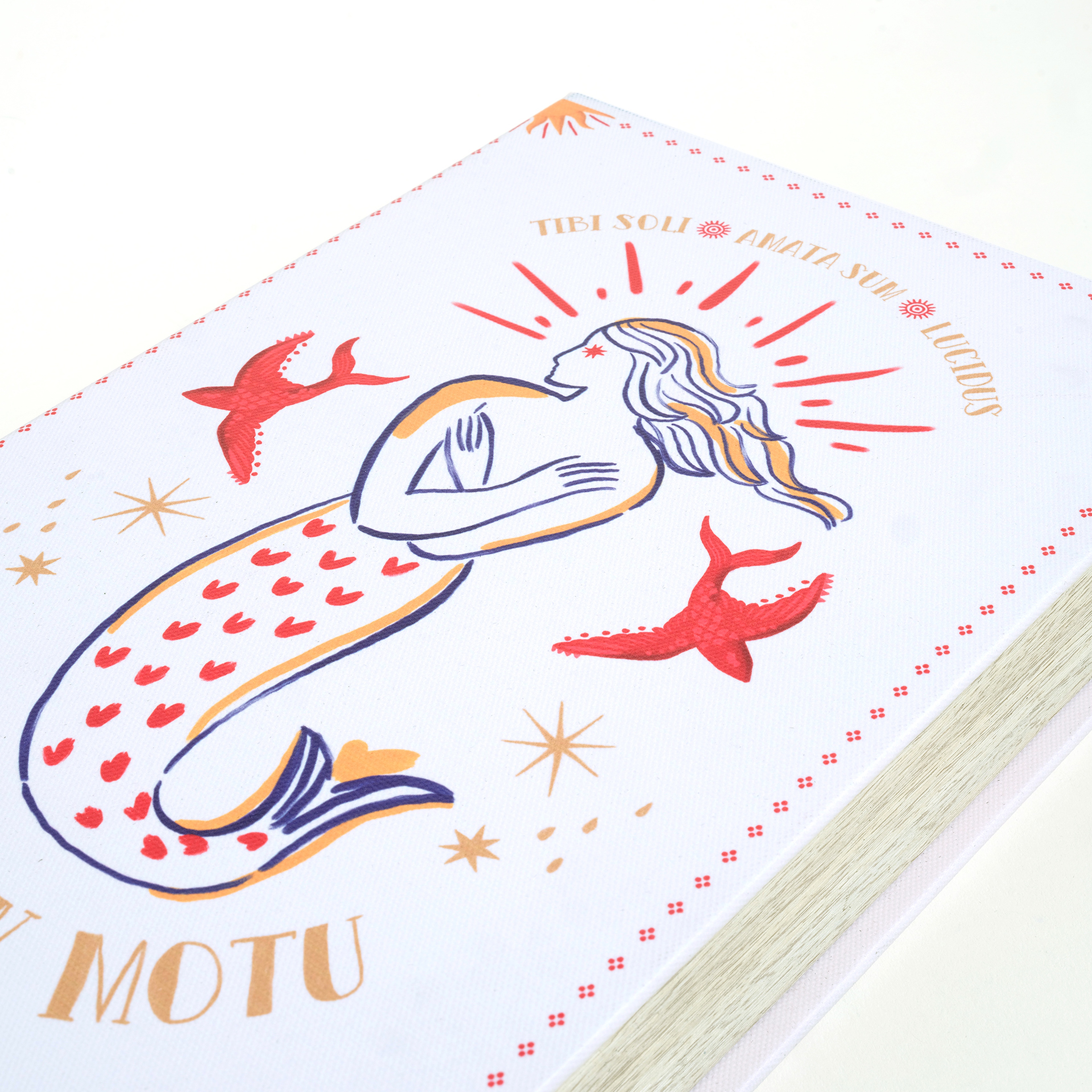 Olbıa Kanvas - Polistren - Kadife Dekoratif Kutu 19x30 Cm Renkli