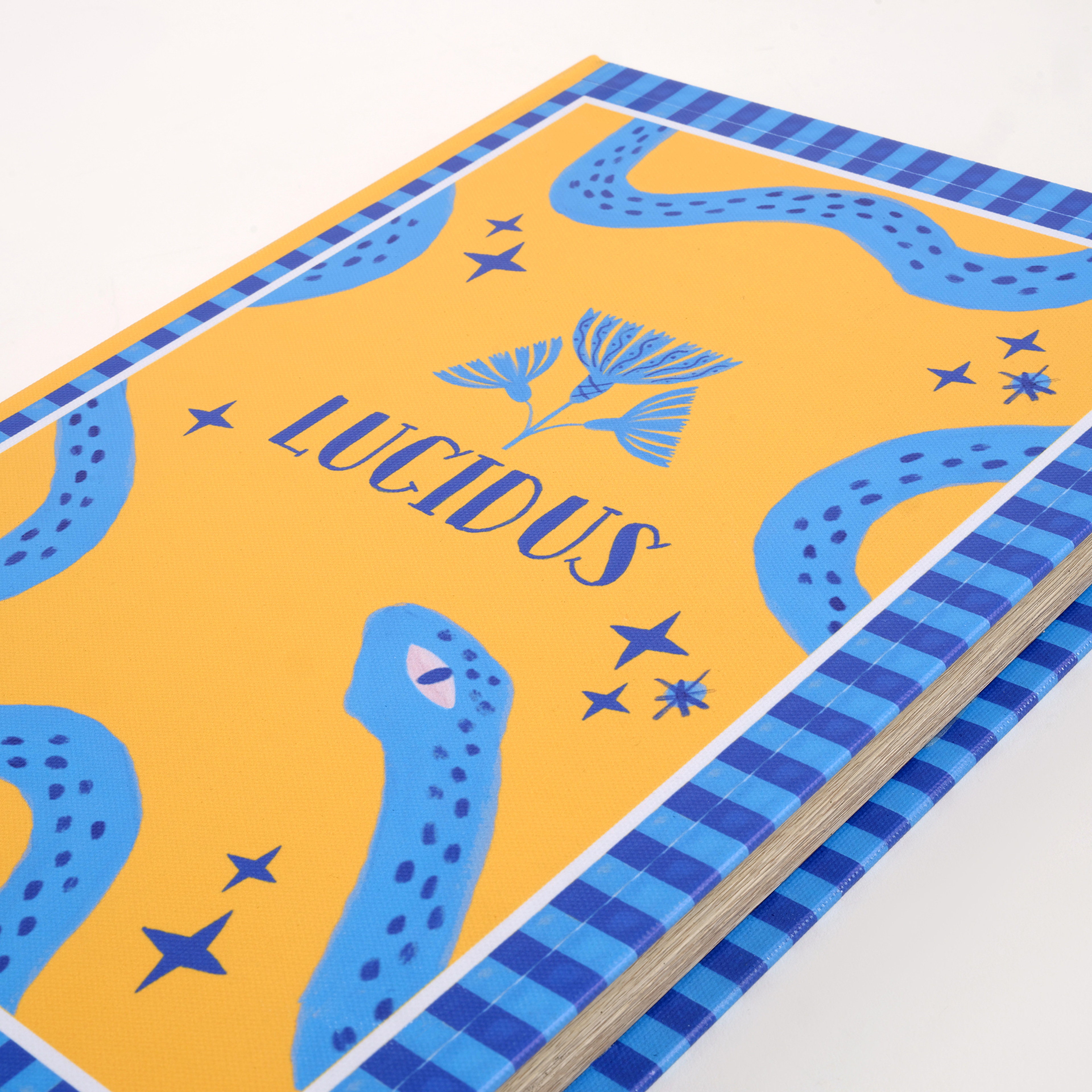 Olbıa Kanvas - Polistren - Kadife Dekoratif Kutu 23x34 Cm Renkli