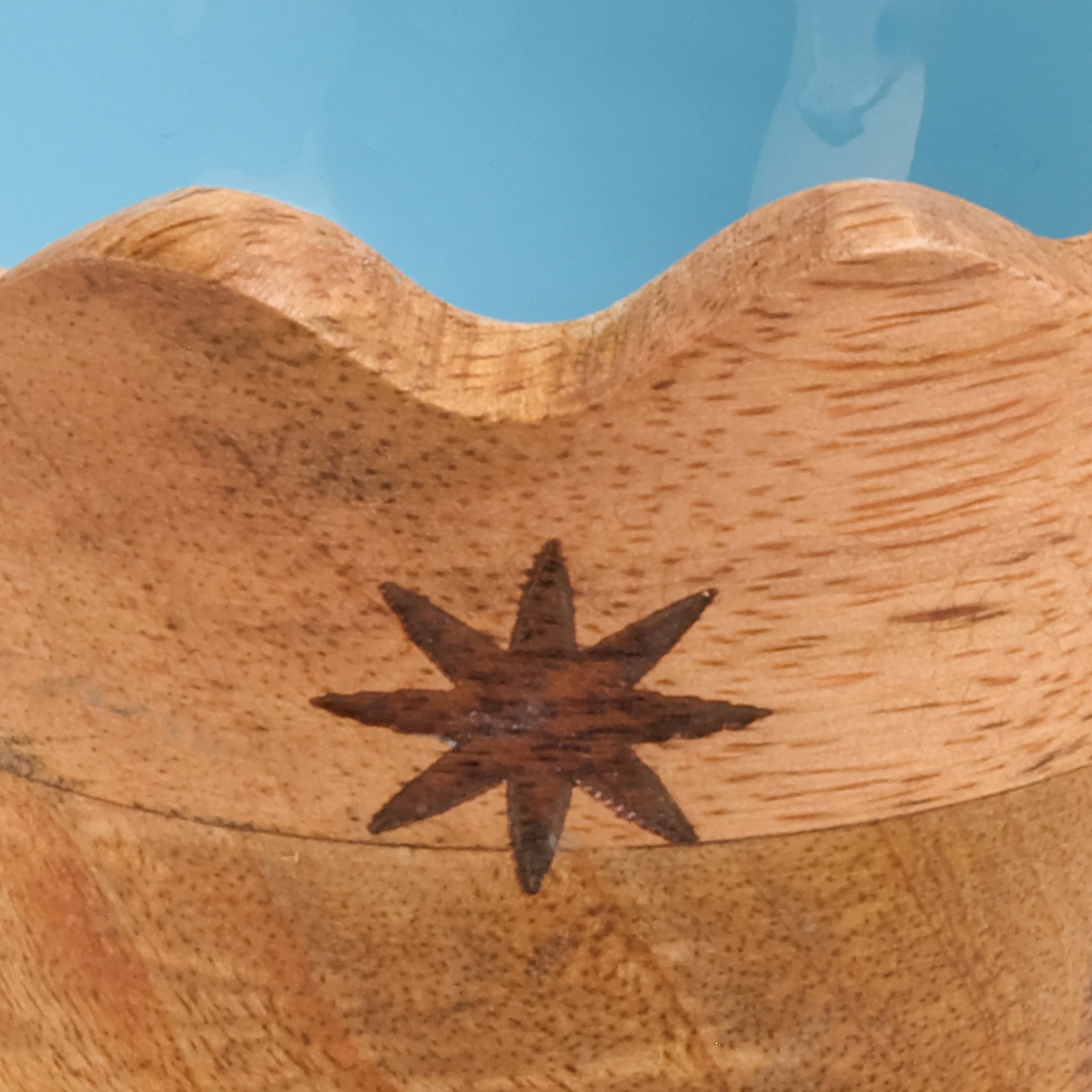 Lakrı Mango Ağacı Çerezlik 8x8x7.5 Cm Mavi