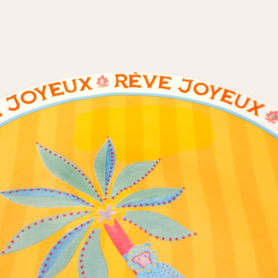 Luohu Porselen Pasta Tabağı 21 Cm Renkli