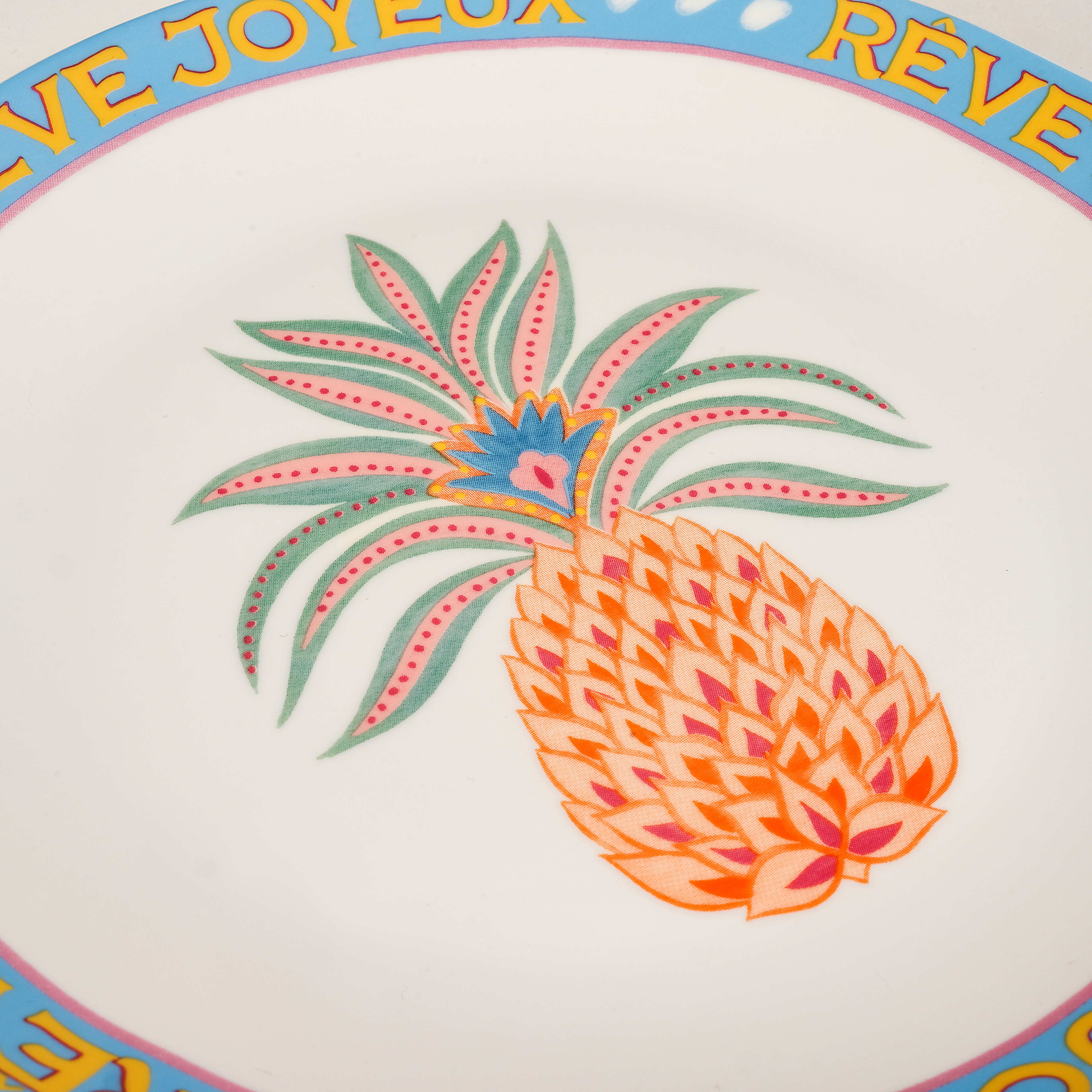 Luohu Porselen Pasta Tabağı 21 Cm Renkli