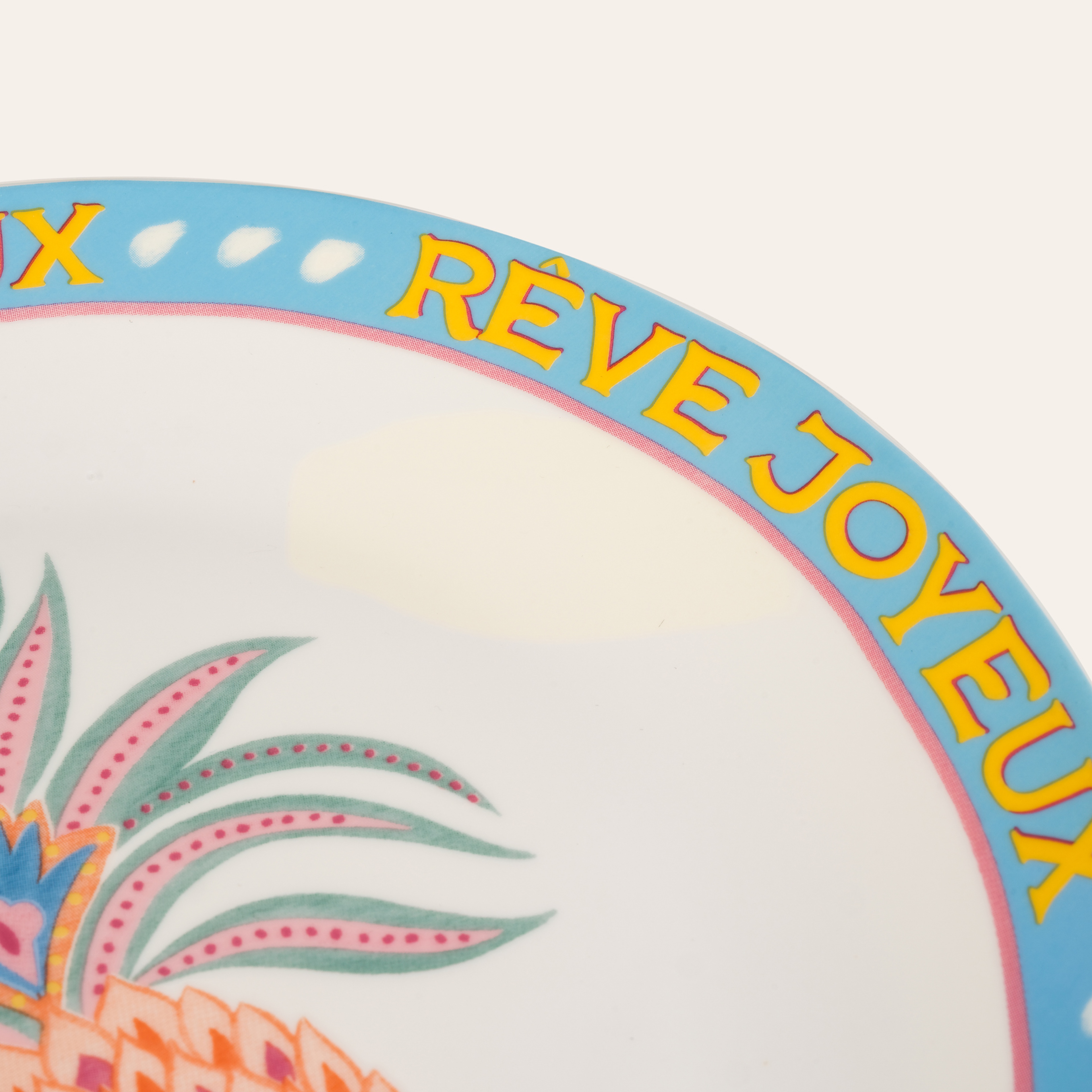 Luohu Porselen Pasta Tabağı 21 Cm Renkli