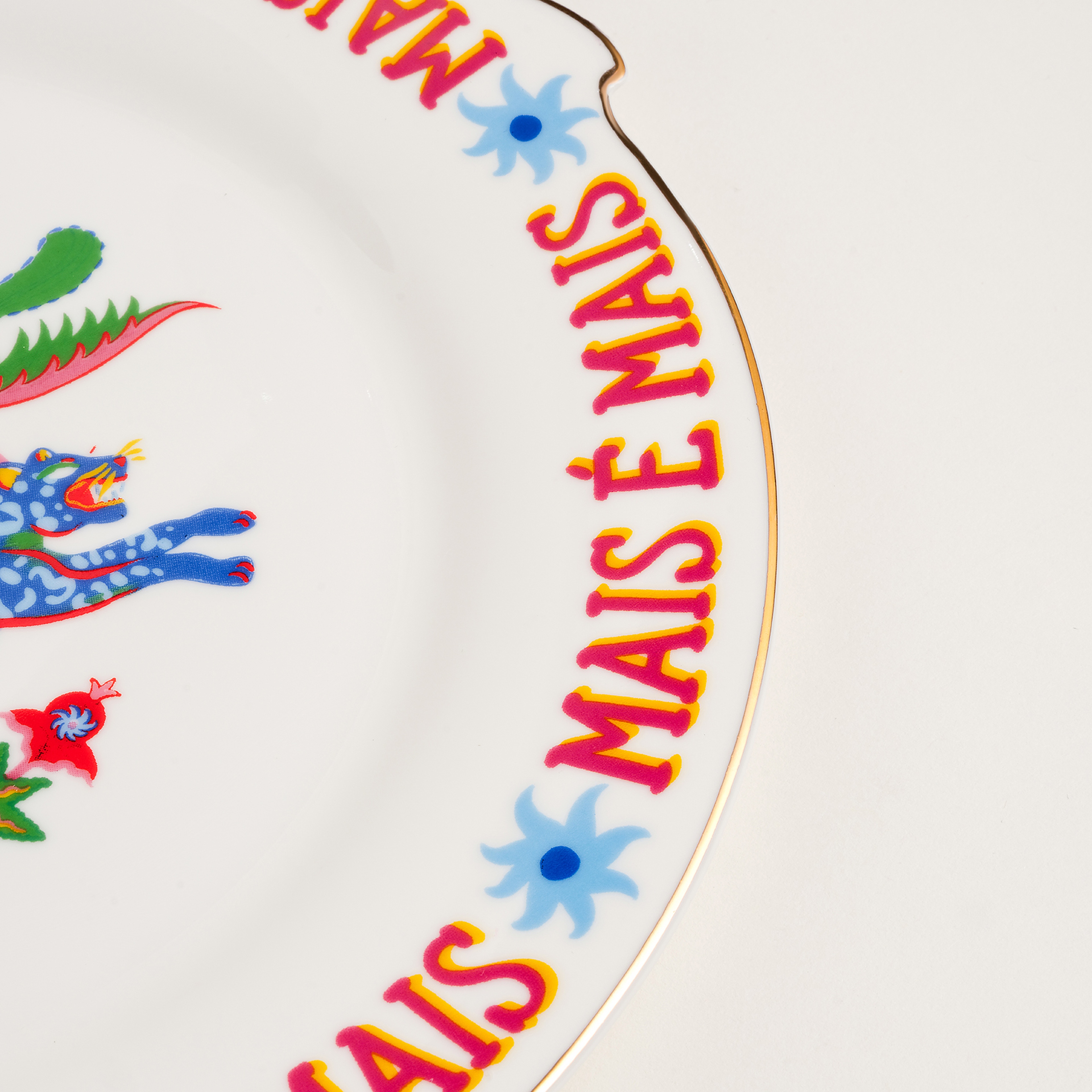 Luohu Porselen Pasta Tabağı 20 Cm Renkli