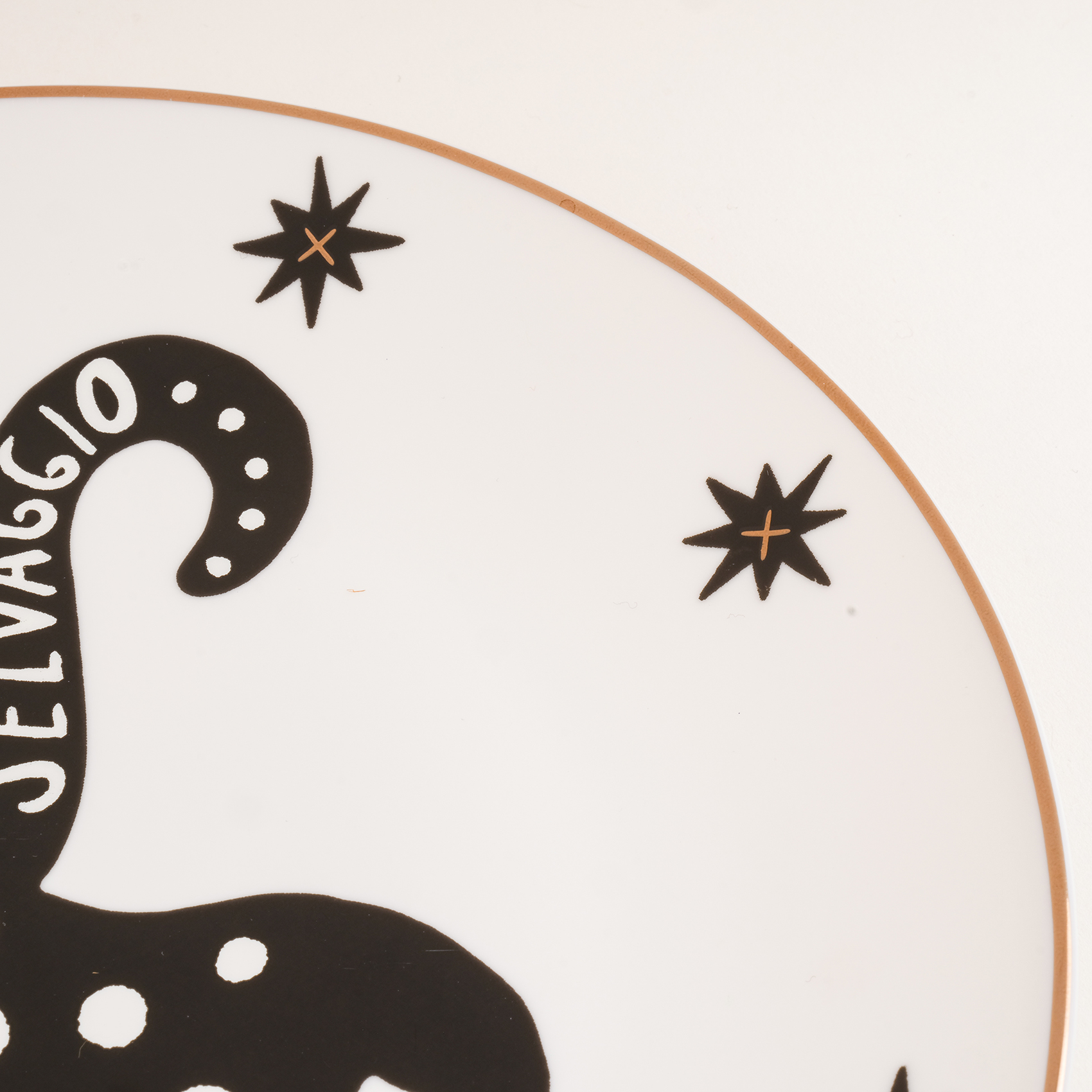 Luohu Porselen Pasta Tabağı 21 Cm