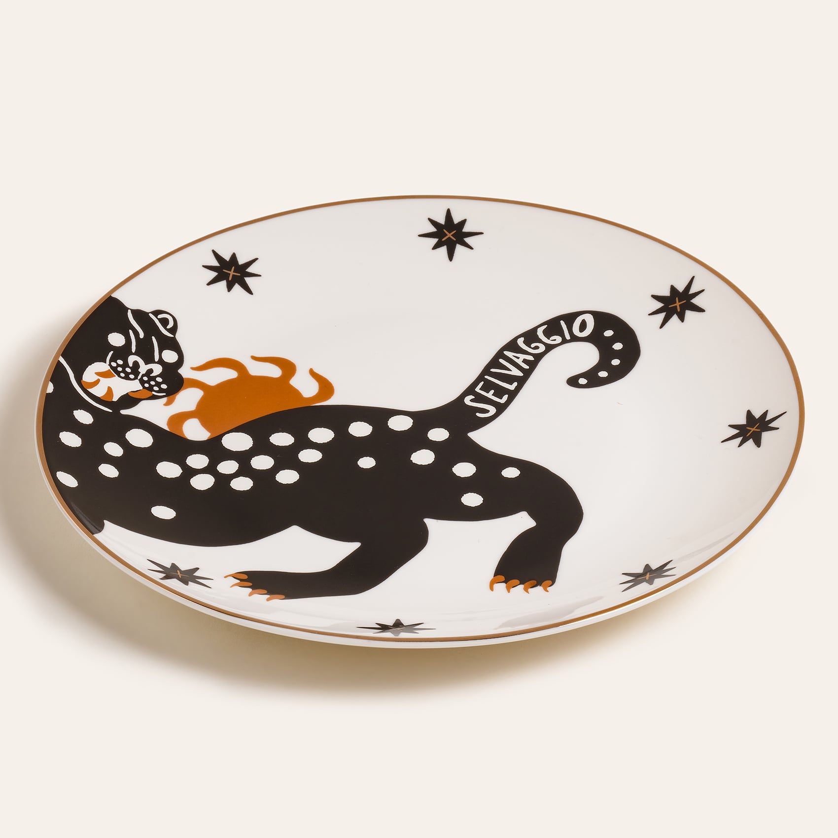 Luohu Porselen Pasta Tabağı 21 Cm
